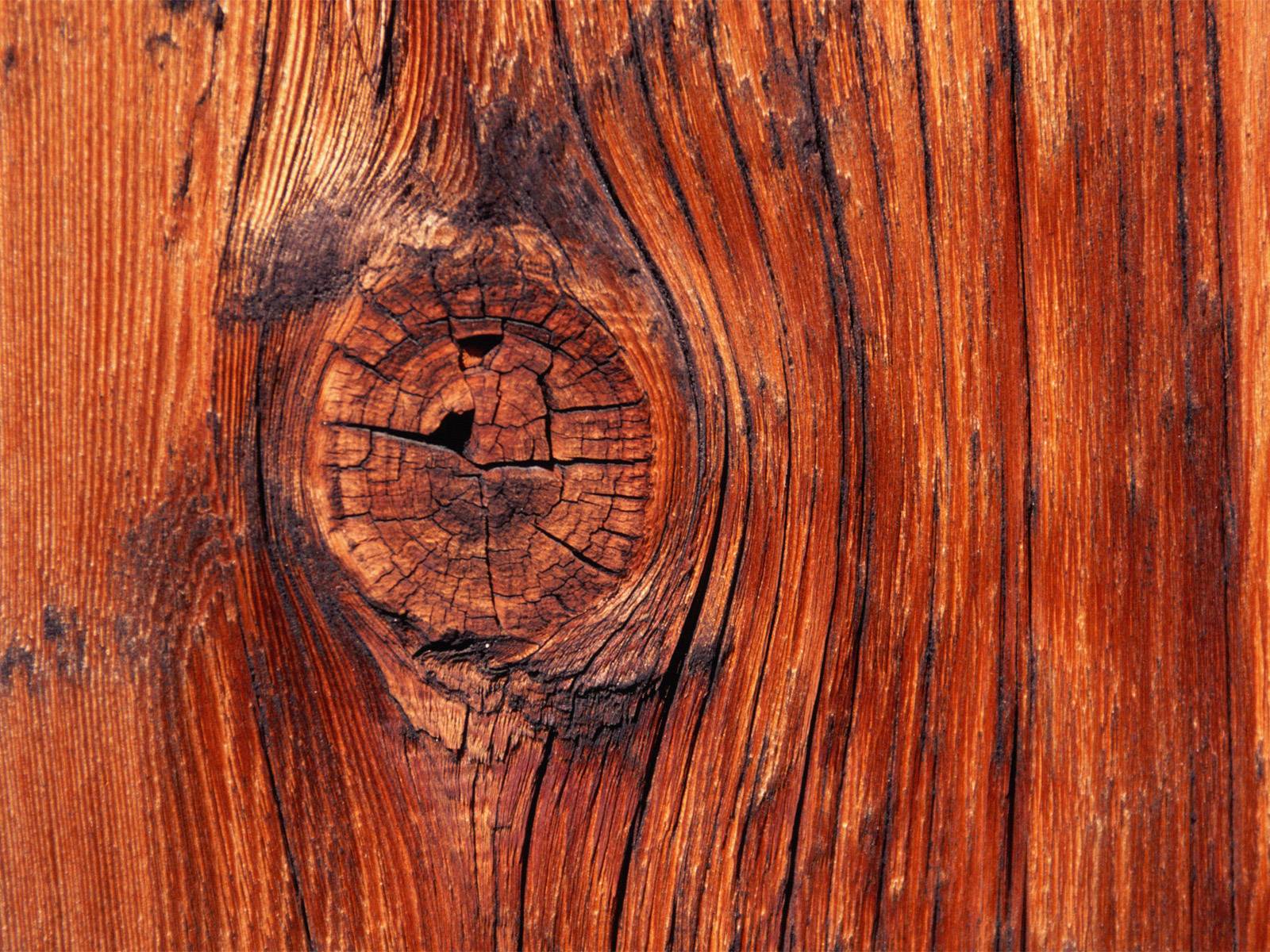 Vista Wallpapers – Textures » Vista Wallpaper Knot in the Wood