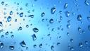 Vista Wallpaper Water Droplets